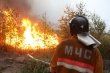 Ограничение пребывания граждан в лесах и въезда в них транспортных средств продляется. 