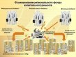 У Подмосковья лидирующие позиции
