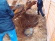 Копать без ордера запрещено