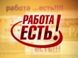 Воскресенский район. В банке Центра занятости 775 вакансий