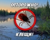 Осторожно - клещи!