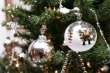 Елочные базары откроются 22 декабря