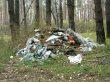 Операция «Засада» в самом разгаре