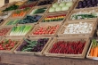 Ценопадный Продукт – новая акция от фирменных ярмарок Подмосковья