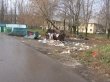 Мусорили жители – оштрафована организация