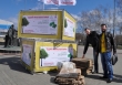 Воспринимай себя как частичку природы
