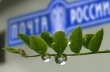 Проголосуй за рисунок для маркированной продукции к 70-летию Великой Победы