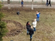 Подведомственные территории приведены в порядок