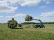 Возрождать агропромышленный комплекс Воскресенского района