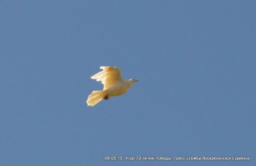 DSC_0686.JPG