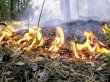 Продолжает действовать особый противопожарный режим