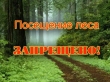 Об ограничении пребывания в лесах