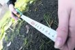 Перераспределение полномочий: местные власти получат полномочия по земельным вопросам на год