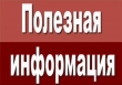 Выборы по закону