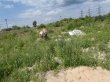 Итоги операции «Засада»