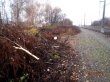 ОАО  «РЖД»  не соблюдает  чистоту и порядок  на своих объектах