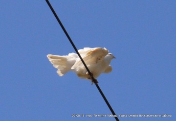 DSC_0658.JPG