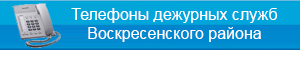 /telefon.php