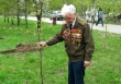 Посадим «ЛЕС ПОБЕДЫ»