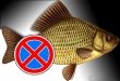 Для сохранения рыбных запасов Подмосковья